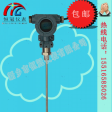  射（shè）頻導納液位（wèi）計的工作原理如（rú）何？
